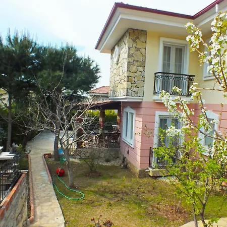 Villa Butterfly *